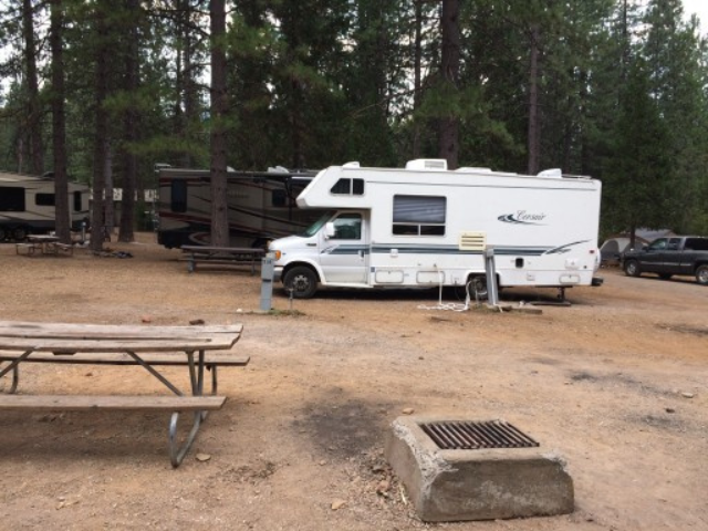 Rv park in a wooded area with a picnic table. RV Lifestyle Experts