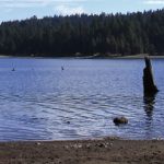 Lake RV Camping in California. RV Lifestyle Experts