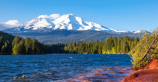 Lake Siskiyou Camping