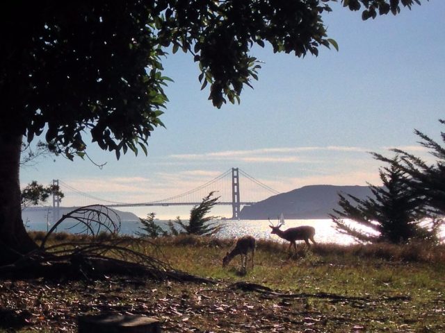 Angel Island Camping. RV Lifestyle Experts