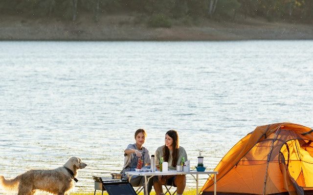 Two people and a dog at a picnic table near a lake. RV Lifestyle Experts