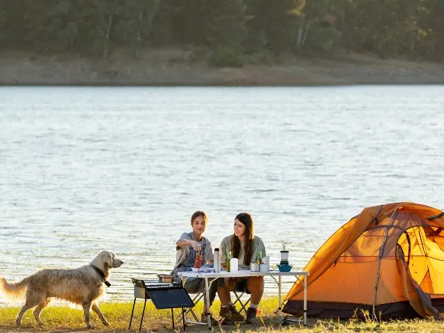 Two people and a dog at a picnic table n a beach camping san diego. RV Lifestyle Experts