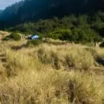 Experience Unforgettable Fun: Avila Beach Camping Guide A group of tents set up in a grassy area. RV Lifestyle Experts