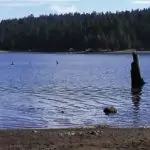 Discovering the Best Lake RV Camping in California: A Comprehensive Guide Lake RV Camping in California. RV Lifestyle Experts
